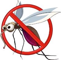 Mosquito Control Adelaide image 4